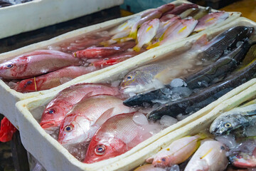 Fresh fish market in Jimbaran, Bali, Indonesia.