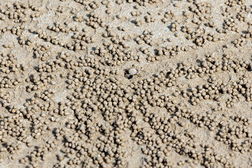 Thailand. Khao-Lak. Sandcrab bubbler. Patterns of sand pellets on the beach.