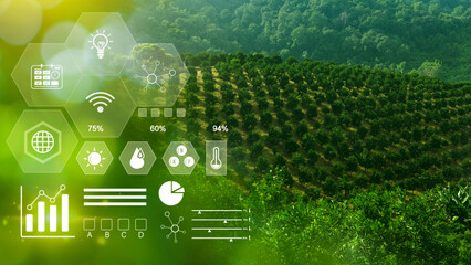 Infographics smart farming and precision agriculture with visual icon, Innovation technology for smart farm system, Agriculture management, smart technology concept modern technology.