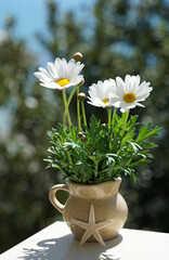 Spring flowers in a small vase on a table in a sunlit garden