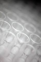 Close-up of a transparent plastic 96-well plate used for luminescence measurement in biology - shallow depth of field