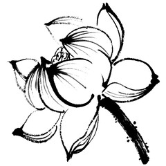 Watercolor illustration of lotus flower. Gohua, traditional chinese ink and wash painting.