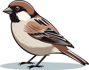 Regal Sparrow Vector Art