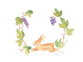 Watercolor grape branches with hare wreath - hand drawn illustration, isolated on white background. Floral spring woodland frame