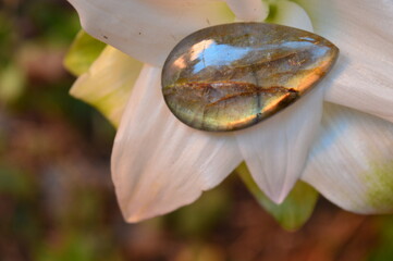 Labradorite mineral gem on the garden