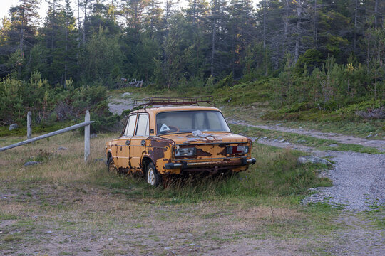 Rear view of the Russian Lada VAZ 2101 car, an old car rotting in the backwoods