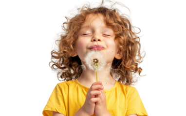 Smiling Child with Dandelion Isolated on Transparent Background PNG.