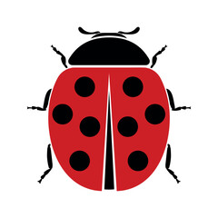 ladybug or ladybird, cute flat design of black and red lady beetle, vector illustration