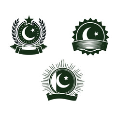 Modern Abstract Shapes of Pakistan Flag Vector Design Template