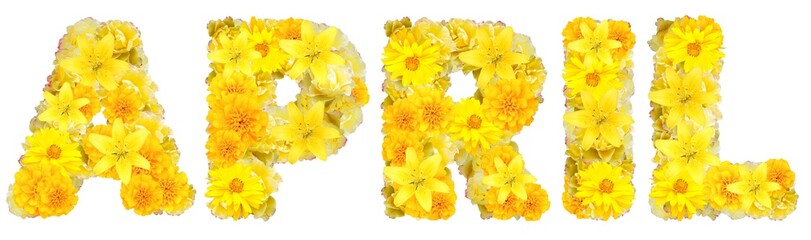 word april with yellow flowers - 765974361
