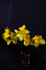 Bouquet of yellow daffodils in a cup on a black background.