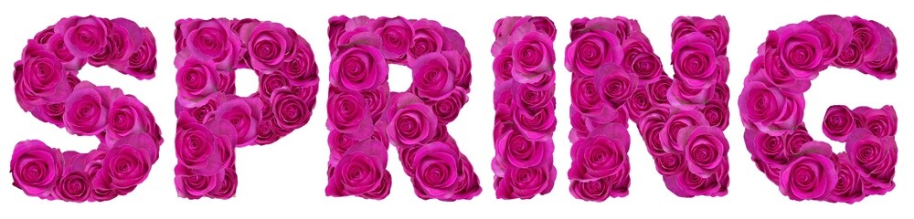 word spring with roses flowers - 765983347