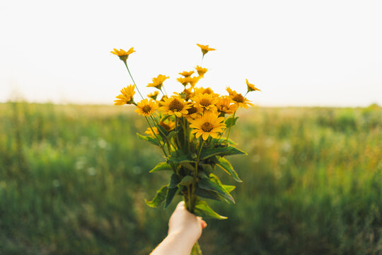A woman's hand holds a bouquet of orange flowers on a field. Minimalist photo of a florist
