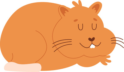 Sleeping Hamster Pet