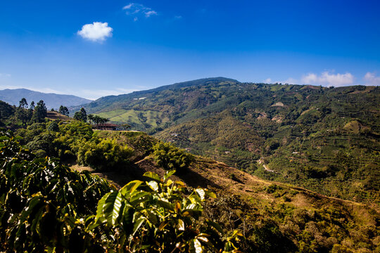 The beautiful Coffee Cultural Landscape of Colombia declared as a World Heritage Site in 2011