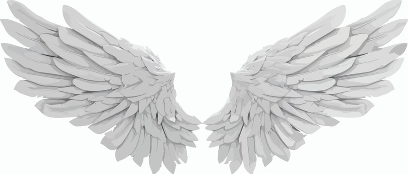 Fantasy Angel Wings on White Background