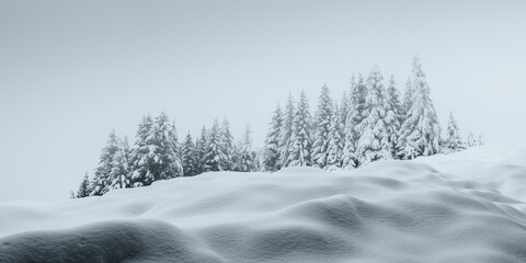 Panorama einer verschneiten Winterlandschaft