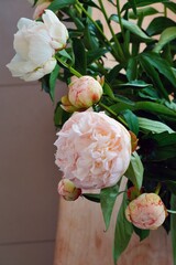 Bouquet of fragrant white and pink herbaceous peony flowers in a vase - 765993753