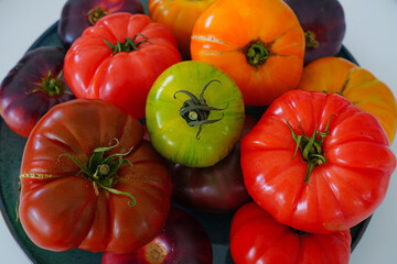 Bowl of colorful heirloom tomatoes in Provence, France
