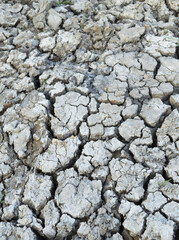 dry earth texture background, crack soil texture.