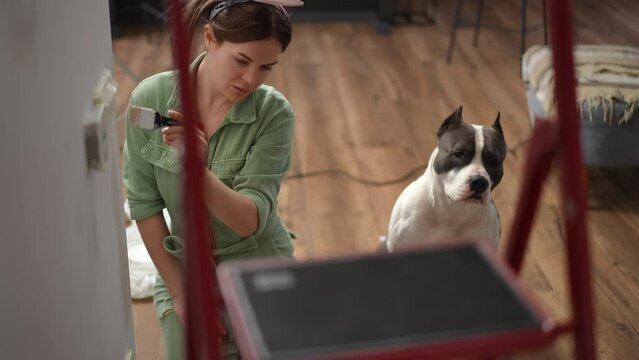 Slow motion. A woman sitting on her knees on the floor paints a corner of the wall in the room with a brush and a paint roller. Dog sits near the woman and looks at the camera