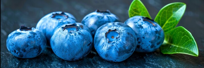 Ripe and plump blueberries on healthy bushes in a greenhouse, ready for a bountiful harvest - obrazy, fototapety, plakaty
