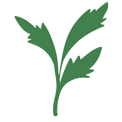 Wild plants illustration