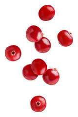 Fresh red cranberries falling on white background