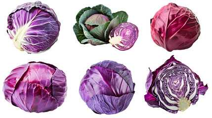 Red cabbage collection isolated on a transparent background, food bundle - obrazy, fototapety, plakaty
