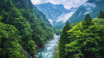 The hiking trail in Kurobe Gorge, located in the Japanese Alps of Japan. - obrazy, fototapety, plakaty