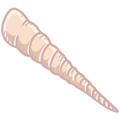 Seashell Vector Illustrations