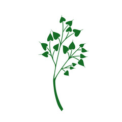 Wild plants illustration