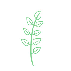 Wild plants illustration