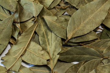 dried leaves of the bay leaf