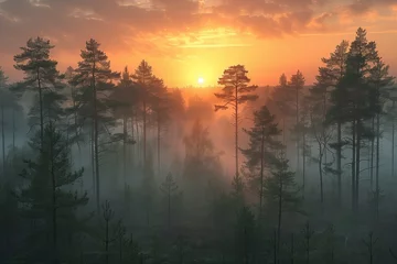 Fototapeten The afterglow of the setting sun illuminates the foggy forest, with larch trees in the foreground, creating a serene natural landscape in the dusk atmosphere © RichWolf