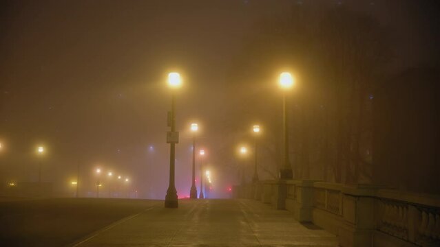 Empty road of fog night time. Chicago street. Slow motion