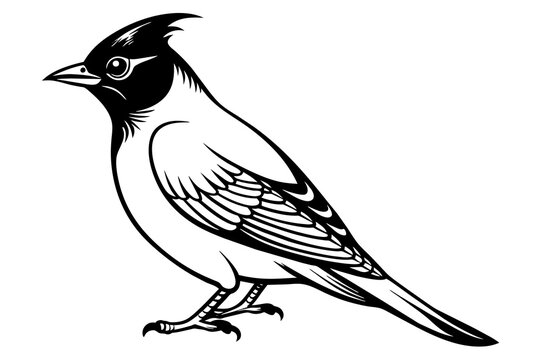 recommend clip art: waxwing silhouette vector illustration