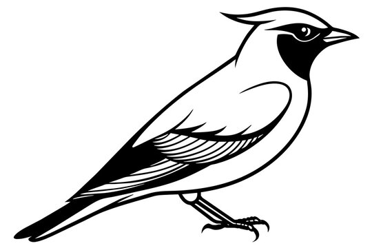 recommend clip art: waxwing silhouette vector illustration