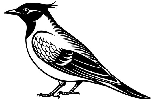 recommend clip art: waxwing silhouette vector illustration