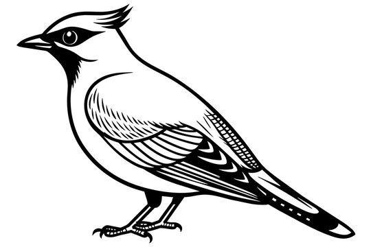 recommend clip art: waxwing silhouette vector illustration