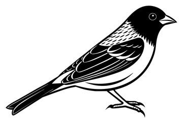 tanager silhouette vector illustration