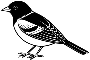 tanager silhouette vector illustration