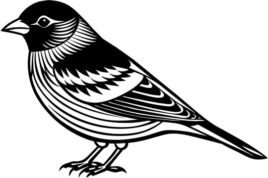 recommend clip art: siskin silhouette vector illustration