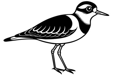 plover silhouette vector illustration