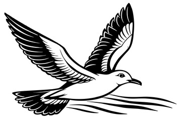 gull silhouette vector illustration