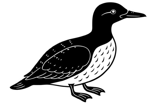 recommend clip art: guillemot silhouette vector illustration
