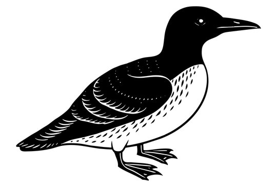 recommend clip art: guillemot silhouette vector illustration