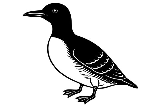 recommend clip art: guillemot silhouette vector illustration