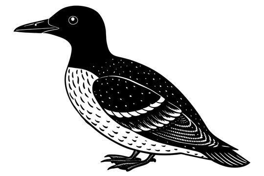 recommend clip art: guillemot silhouette vector illustration