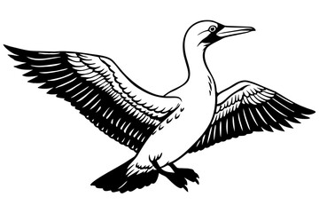 gannet silhouette vector illustration